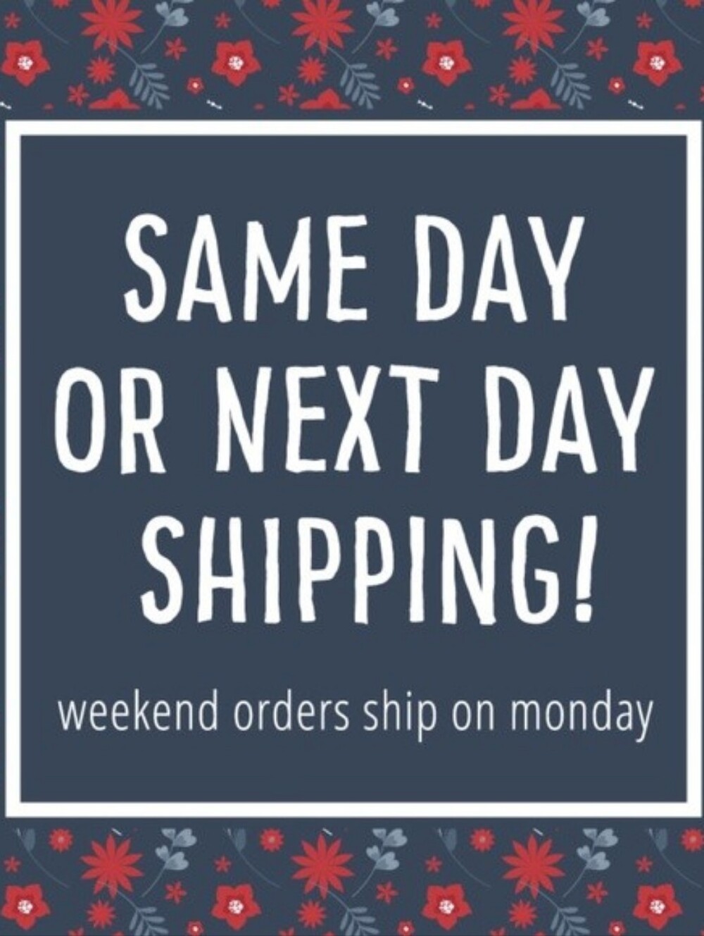✨️ Same Day or Next Day Shipping ✨️